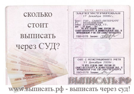 Сколько стоит выписать человека из квартиры через суд в 2017 году